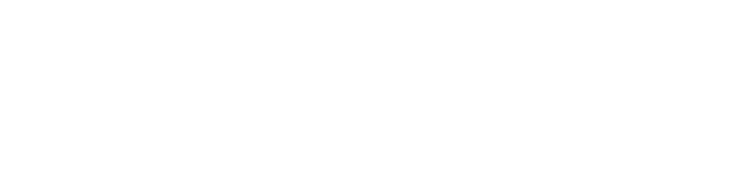 Metal & Iron Solutions